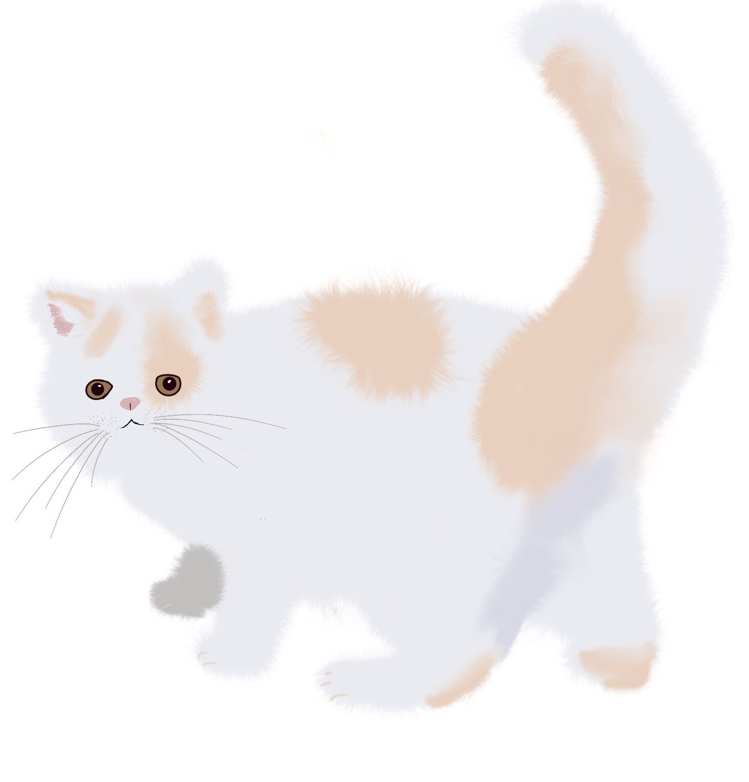grey.gif