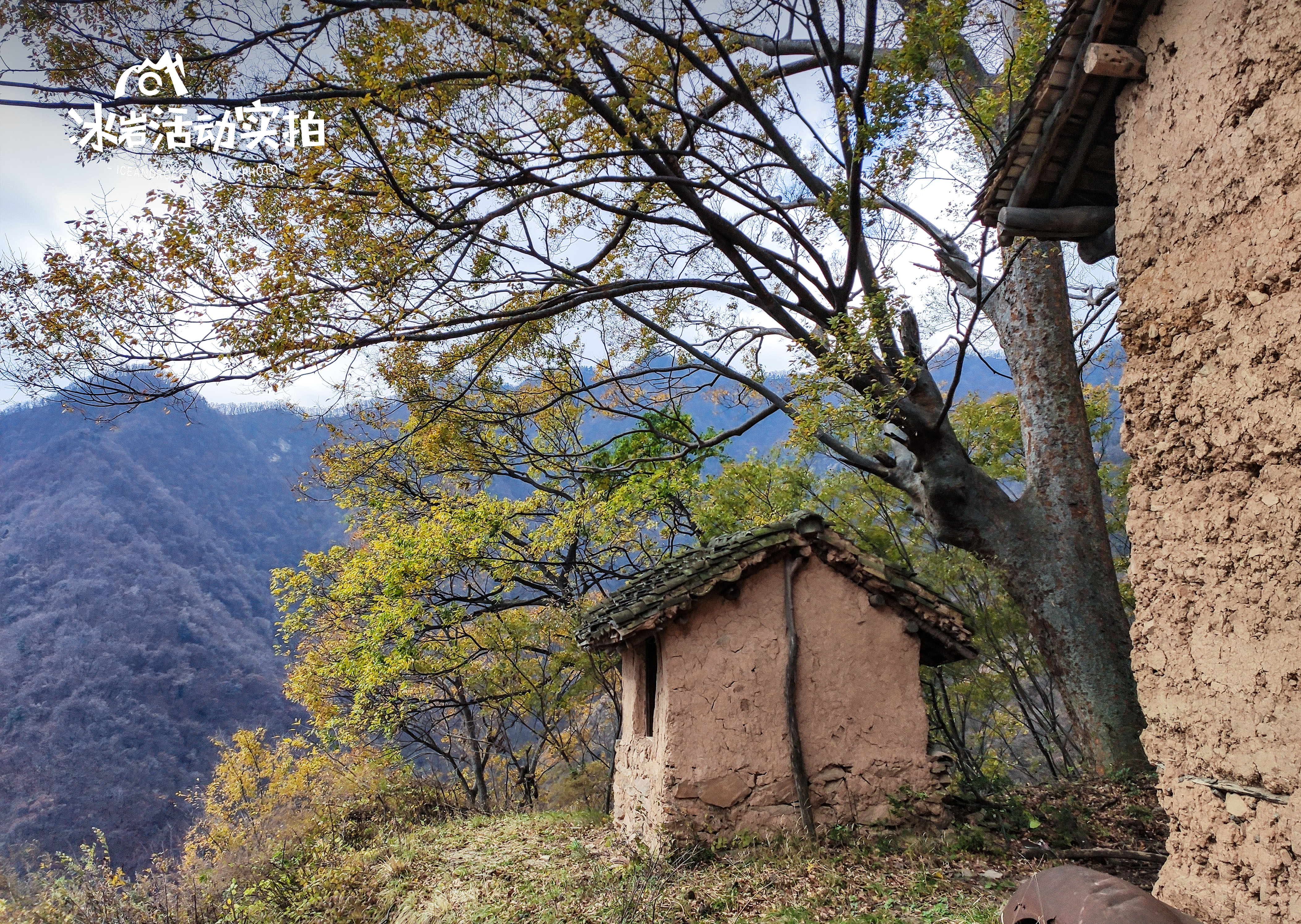 涝峪凤凰山,山野漫步