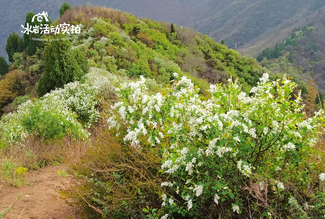 白石峪子午峪穿越,赏白鹃梅花海