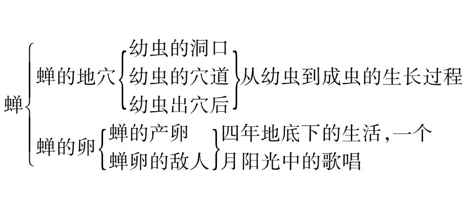 初中语文教案《蝉》