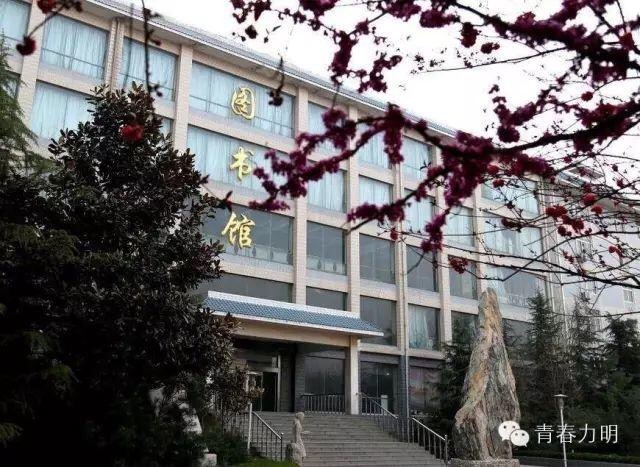山东力明科技职业学院2017年招生简章|招生信息-山东力明技工学校 山东力明科技职业学院2017年招生简章|招生信息-山东力明技工学校
