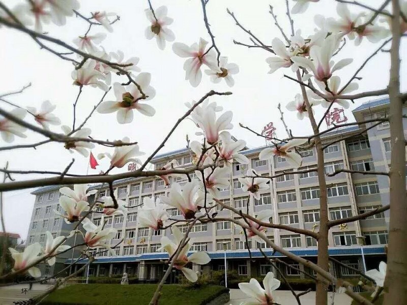 山东力明科技职业学院2017年招生简章|招生信息-山东力明技工学校 山东力明科技职业学院2017年招生简章|招生信息-山东力明技工学校