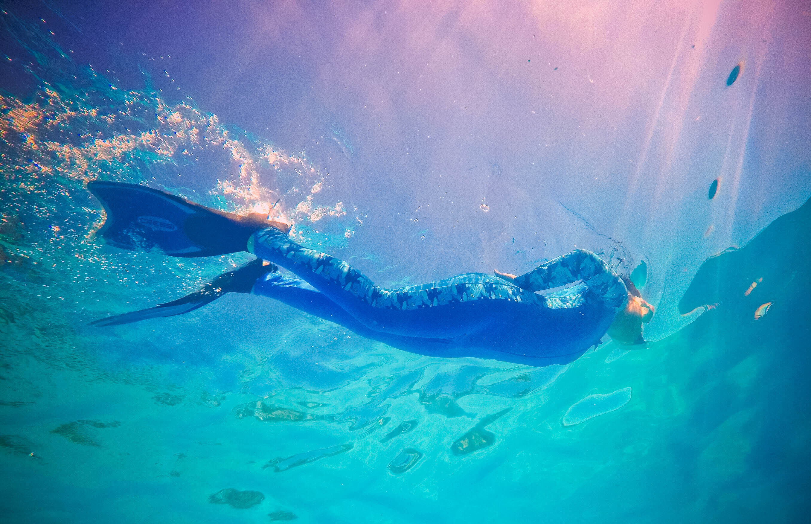 海底那么美，我想去看看—三亚PADI OW潜水营