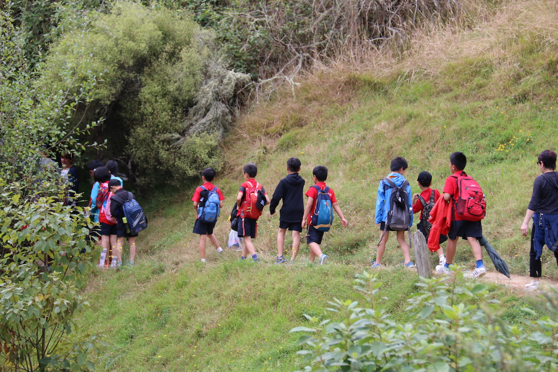 用新西兰的方式探索新西兰——新西兰国际交流训练营