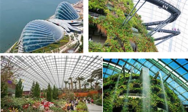 去新加坡！探索四大民族融合之谜，学习自然与城市兼容之道！