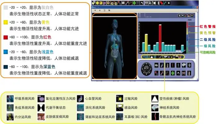鹰眼人体电阻抗测评分析仪 鹰眼人体电阻抗测评分析仪