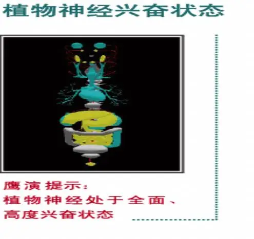 鹰眼人体电阻抗测评分析仪 鹰眼人体电阻抗测评分析仪