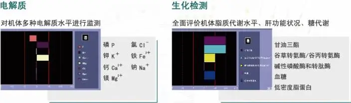 鹰眼人体电阻抗测评分析仪 鹰眼人体电阻抗测评分析仪