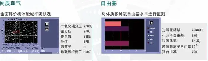 鹰眼人体电阻抗测评分析仪 鹰眼人体电阻抗测评分析仪