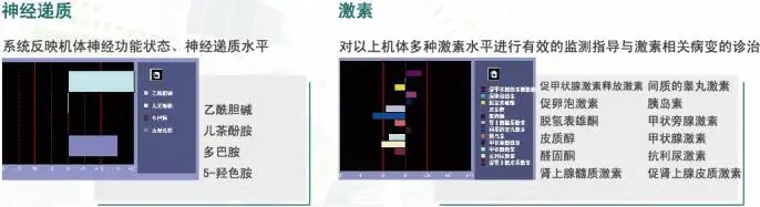 鹰眼人体电阻抗测评分析仪 鹰眼人体电阻抗测评分析仪