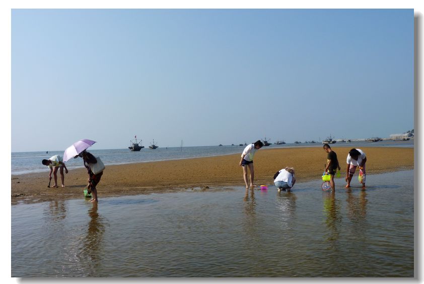 相约那片海--莱州金沙滩 虎头崖赶海一日游