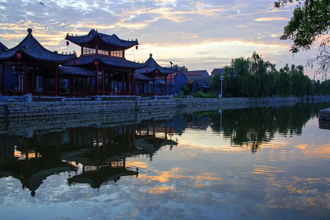 穿越银杏时光隧道邳州银杏林千年窑湾古镇醉美微山湖南阳古镇全鱼宴两