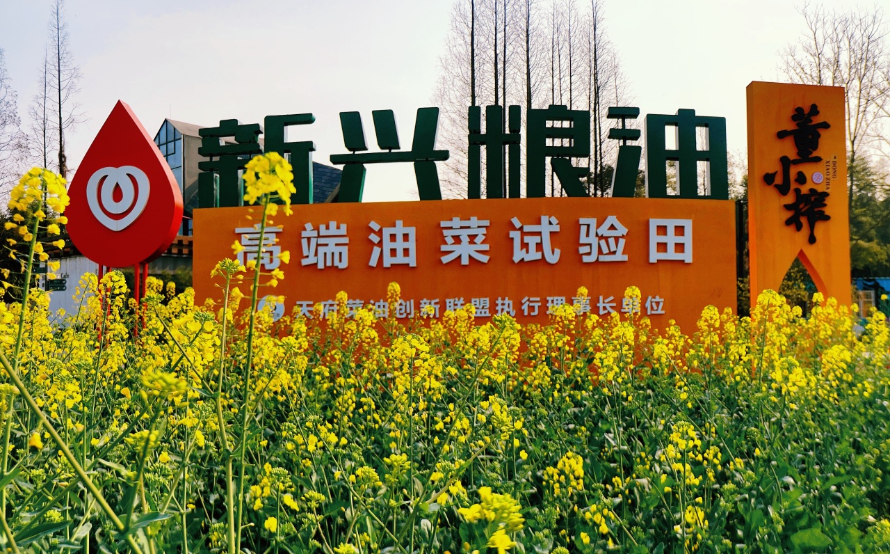 新兴粮油受邀参加第九届农博会：“川字号”粮油何以出圈