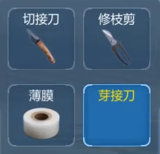 图片关键词