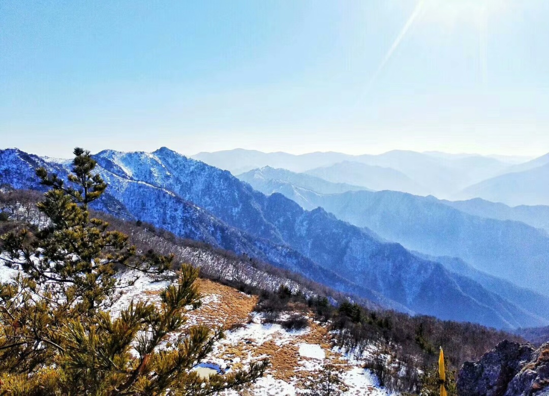 秦岭十峰 | 一日首阳山,深入秦岭腹地