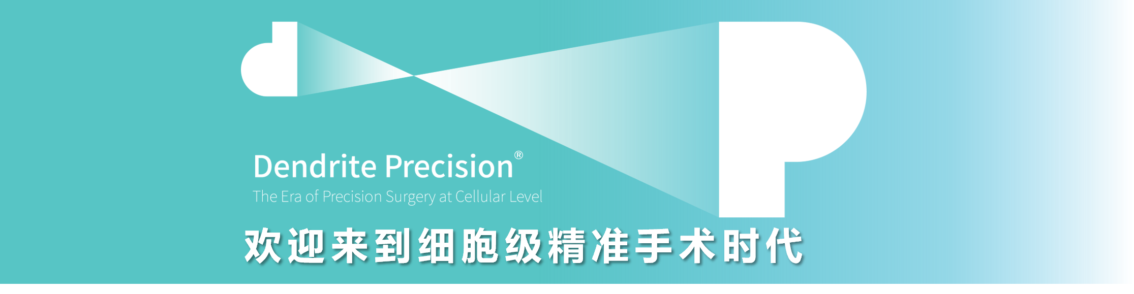 细胞级荧光导引技术亮相第二届赣南苏区乳腺肿瘤学术会议：EndoSCell®实现乳腺癌手术微米级精准切缘(图1)