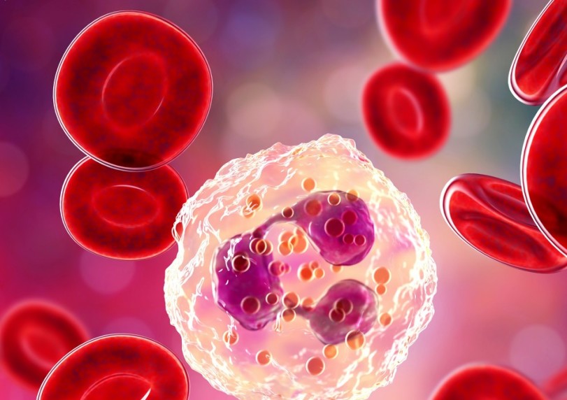 crop,h_572,w_811,x_64,y_0