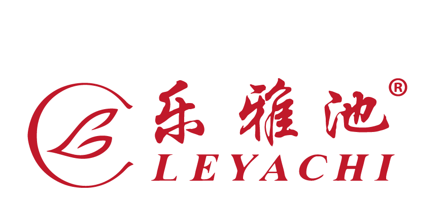 乐雅池舞服助力第二届江城舞蹈艺术节(图9)
