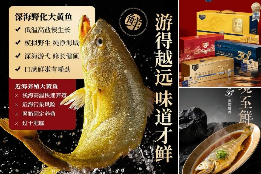 2026上海渔博会展位为何销售如此火爆?看看哪些龙头已经抢订…(图13) 2026上海渔博会展位为何销售如此火爆?看看哪些龙头已经抢订…(图13)