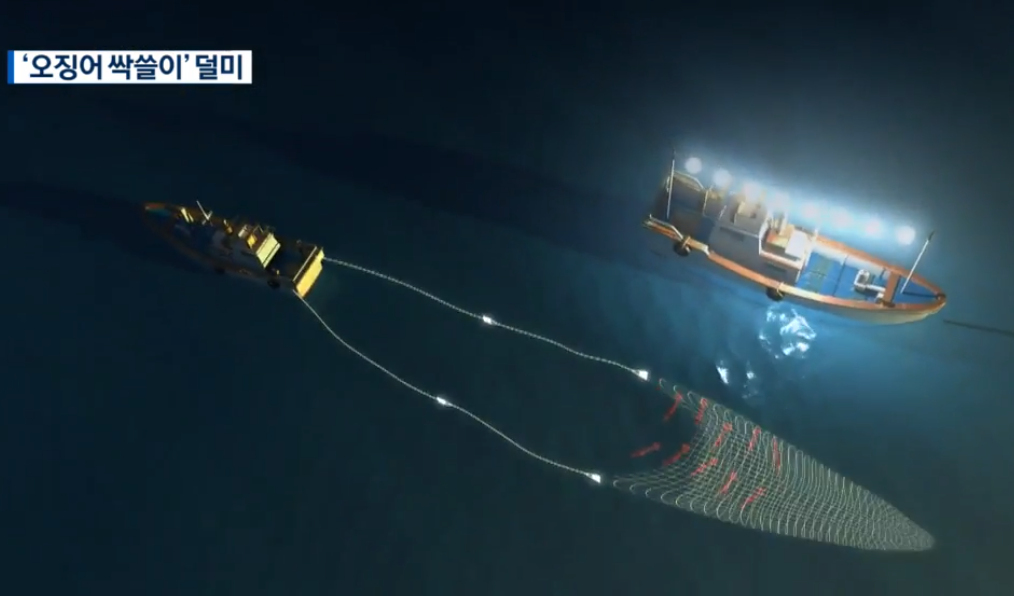 全球鱿鱼紧缺：日本与韩国跨洋争夺“黄金鱿鱼”(图4)