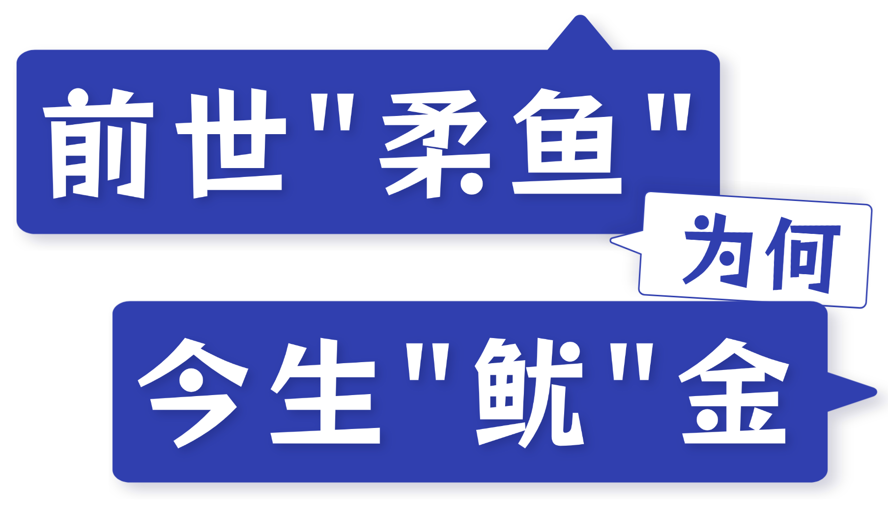 鱿鱼丰年,货往哪儿卖?8月上海渔博会找答案(图1) 鱿鱼丰年,货往哪儿卖?8月上海渔博会找答案(图1)