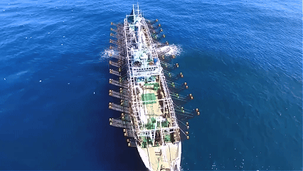 鱿鱼丰年,货往哪儿卖?8月上海渔博会找答案(图5) 鱿鱼丰年,货往哪儿卖?8月上海渔博会找答案(图5)