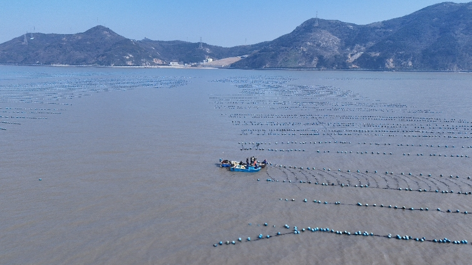 从“土特产”到“金招牌”,舟山海鲜的成功学如何copy?(图5) 从“土特产”到“金招牌”,舟山海鲜的成功学如何copy?(图5)