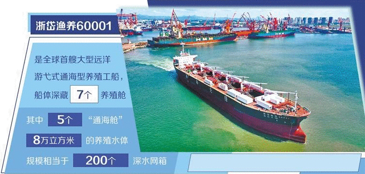 从“土特产”到“金招牌”,舟山海鲜的成功学如何copy?(图4) 从“土特产”到“金招牌”,舟山海鲜的成功学如何copy?(图4)