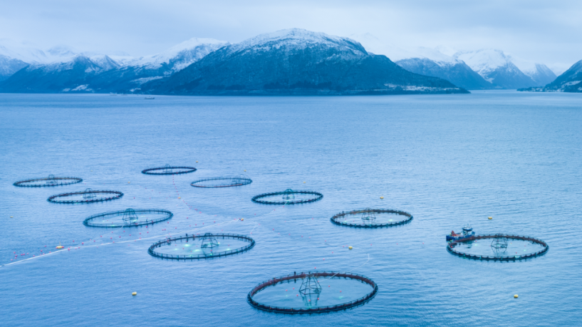 从30到400+,从崇明到世界:这家与渔博会共舞多年的“渔民”,为何始终选择上海?(图1) 从30到400+,从崇明到世界:这家与渔博会共舞多年的“渔民”,为何始终选择上海?(图1)
