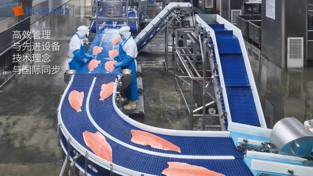 从30到400+,从崇明到世界:这家与渔博会共舞多年的“渔民”,为何始终选择上海?(图4) 从30到400+,从崇明到世界:这家与渔博会共舞多年的“渔民”,为何始终选择上海?(图4)