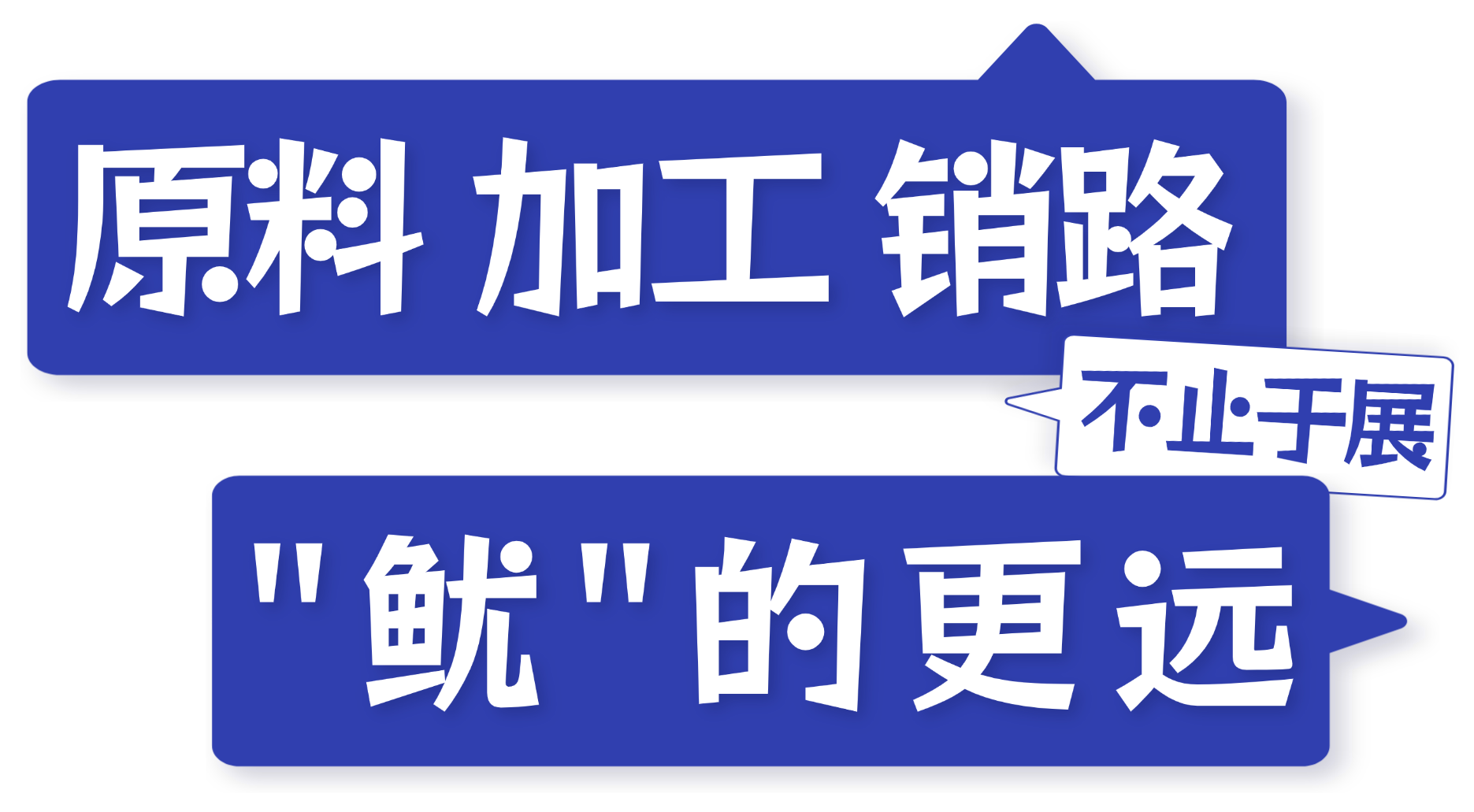 鱿鱼丰年,货往哪儿卖?8月上海渔博会找答案(图7) 鱿鱼丰年,货往哪儿卖?8月上海渔博会找答案(图7)