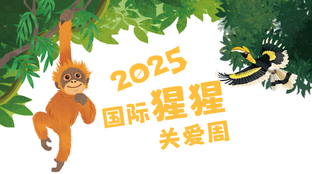 全员集结，猩动不能停——临沂动植物园