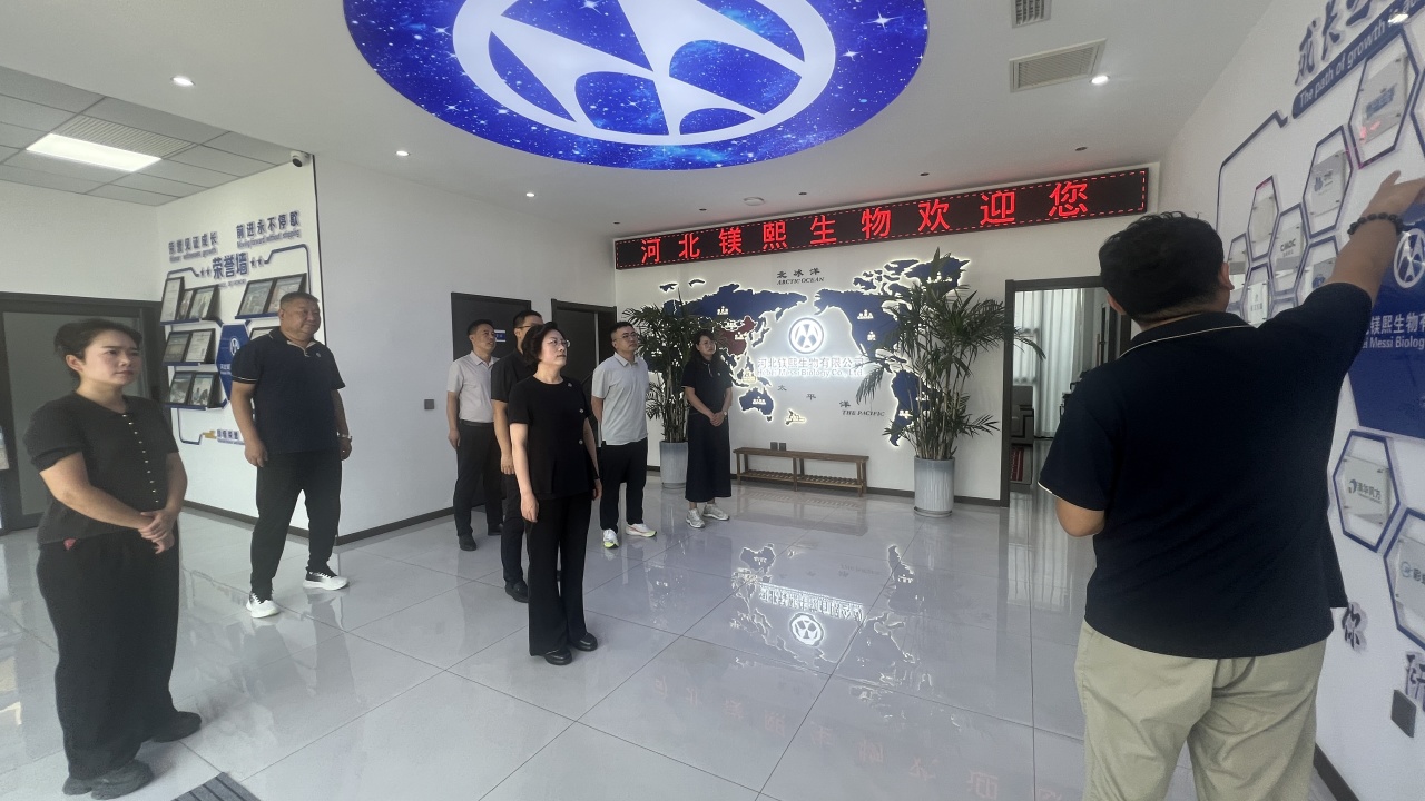 主题教育 |各基层组织开展形式多样的主题教育专题活动（三）(图6)