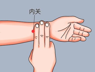 【健康科普】免疫力差···