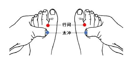 【健康科普】肝不好的···