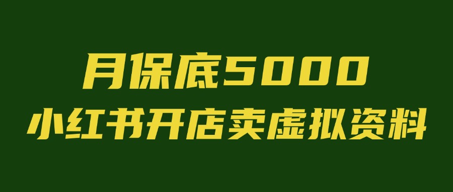 月保底5000，上不封顶，小红书开店卖虚拟产品，普通人在家赚钱的高利润生意-佳佳宝库