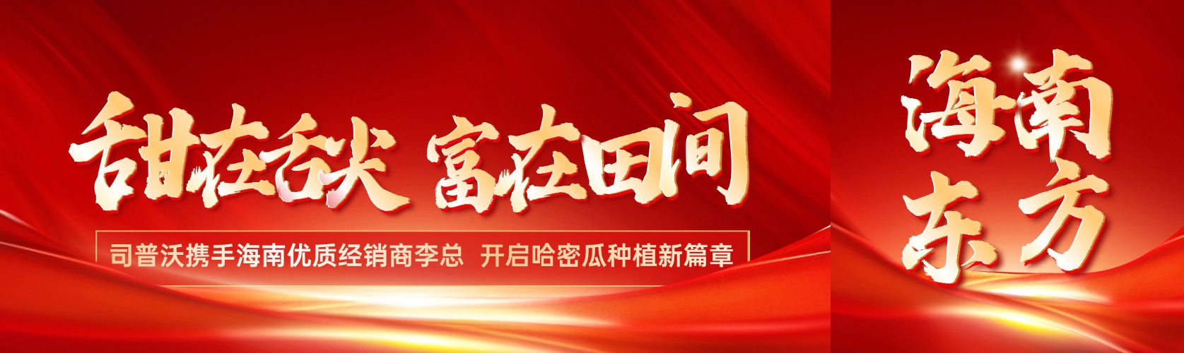 甜在舌尖，富在田間：司普沃攜手海南優(yōu)質經(jīng)銷商李總，開啟哈密瓜種植新篇章