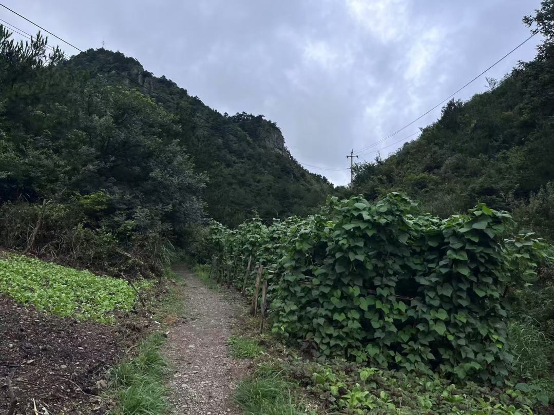 南象资产