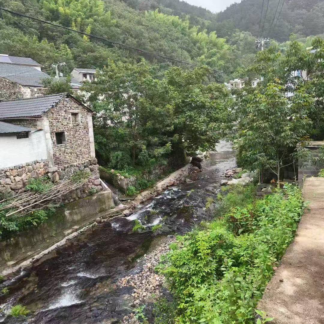 南象资产