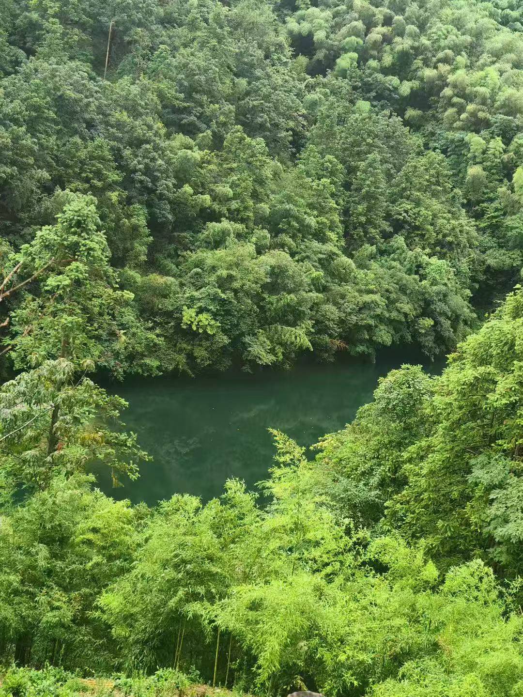 南象资产