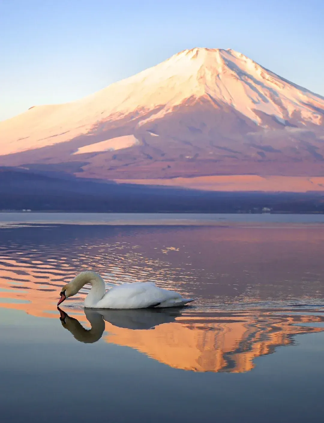 经典关东大室山/修善寺/富士山/忍野八海2日 行程图 12