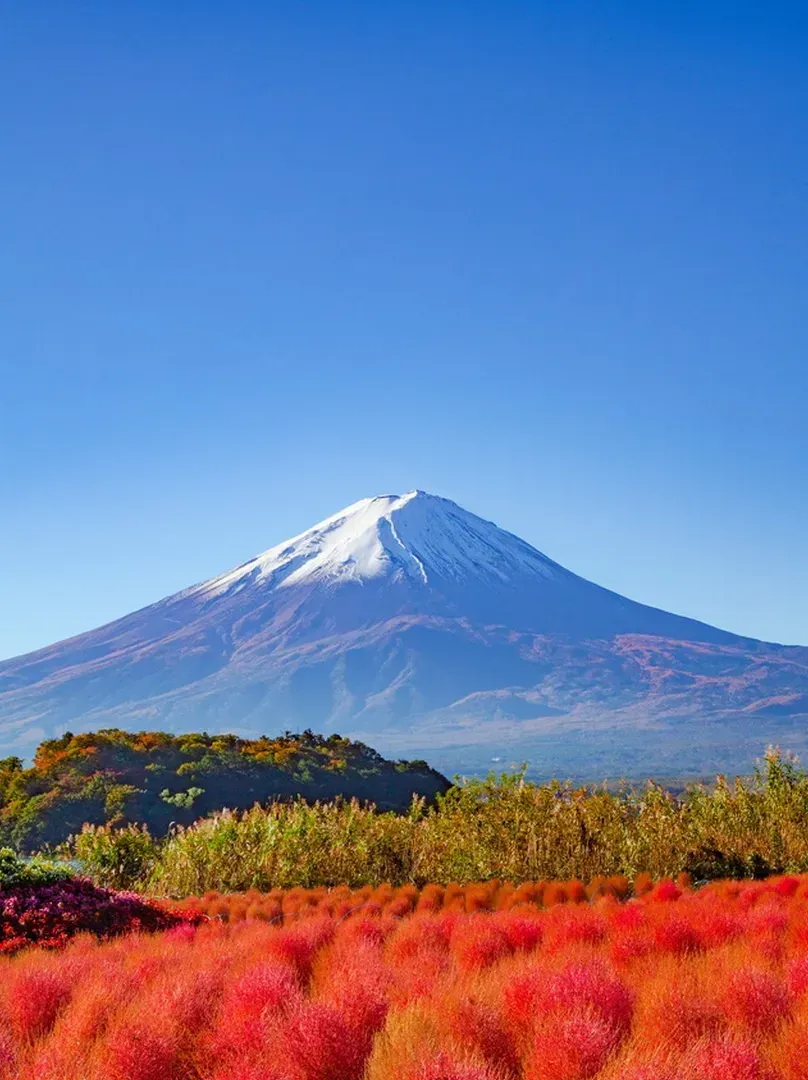 经典关东大室山/修善寺/富士山/忍野八海2日 行程图 9