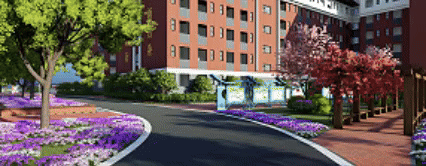 期末蓄力时，成长正当时——我校政治教研组开展期末教研专题活动