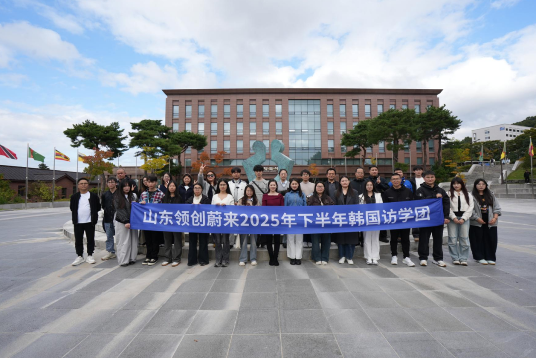 访校纪实丨领创蔚来国际教育韩国访校之旅(图65)