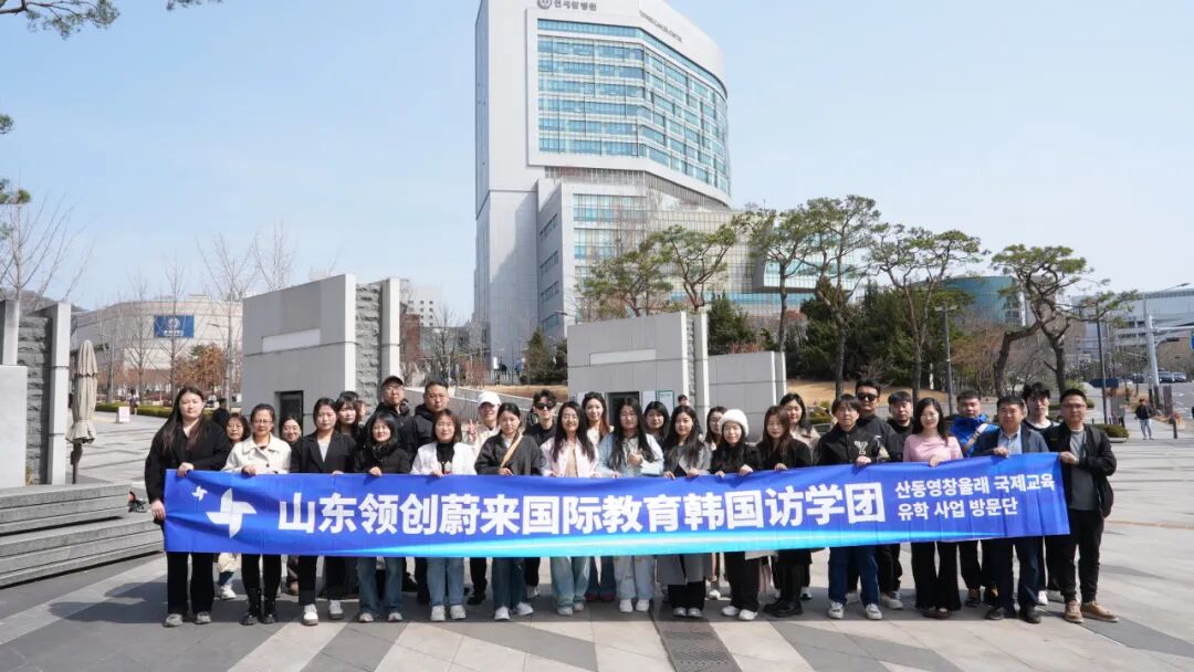 访校纪实丨领创蔚来国际教育韩国访校之旅(图4)