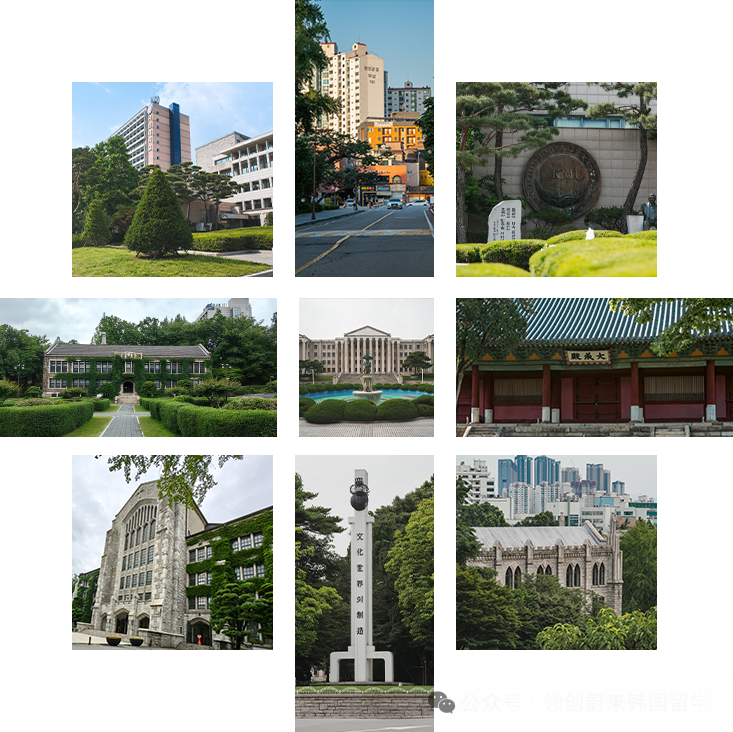 访校纪实丨领创蔚来国际教育韩国访校之旅(图155)