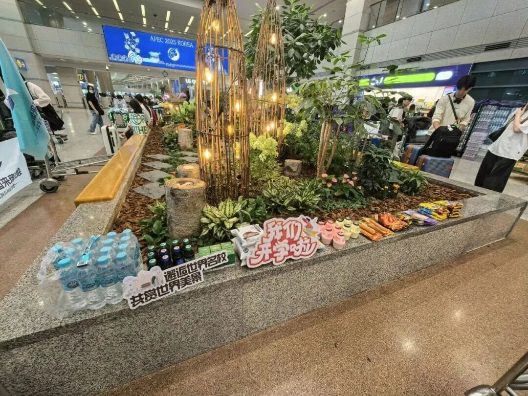 访校纪实丨领创蔚来国际教育韩国访校之旅(图151)