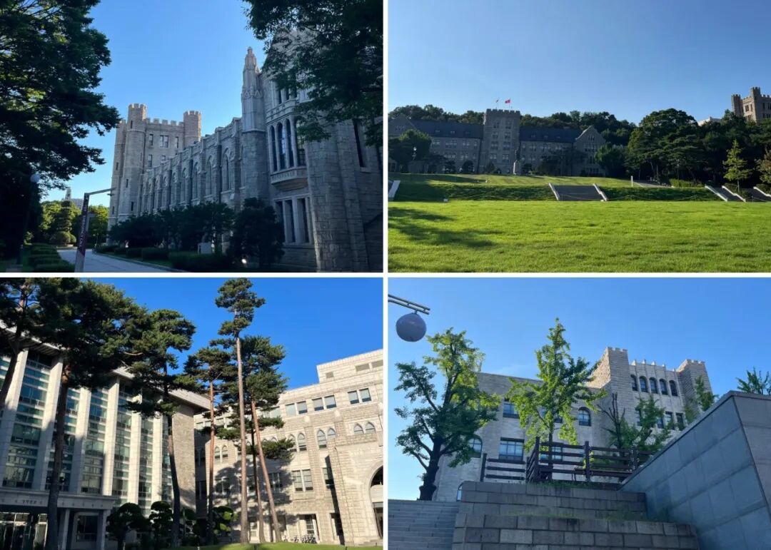 访校纪实丨领创蔚来国际教育韩国访校之旅(图8)