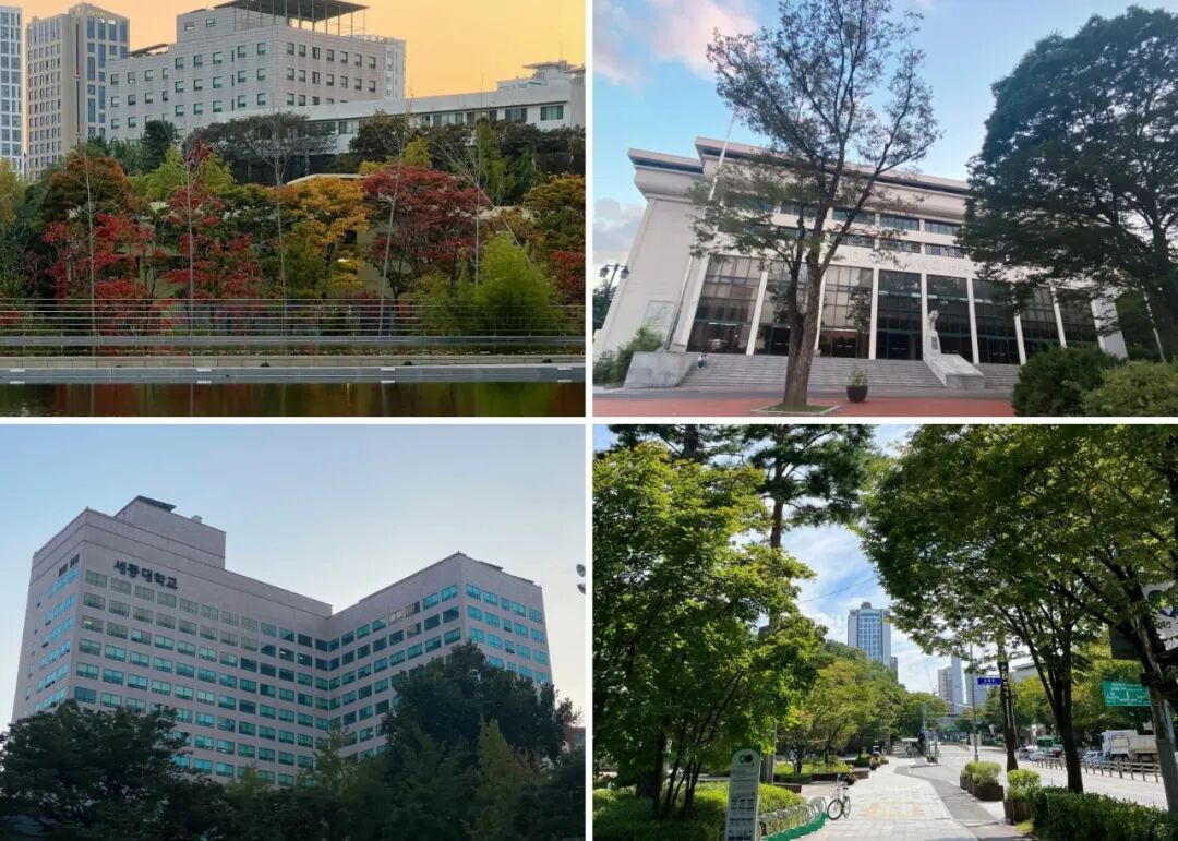 访校纪实丨领创蔚来国际教育韩国访校之旅(图17)