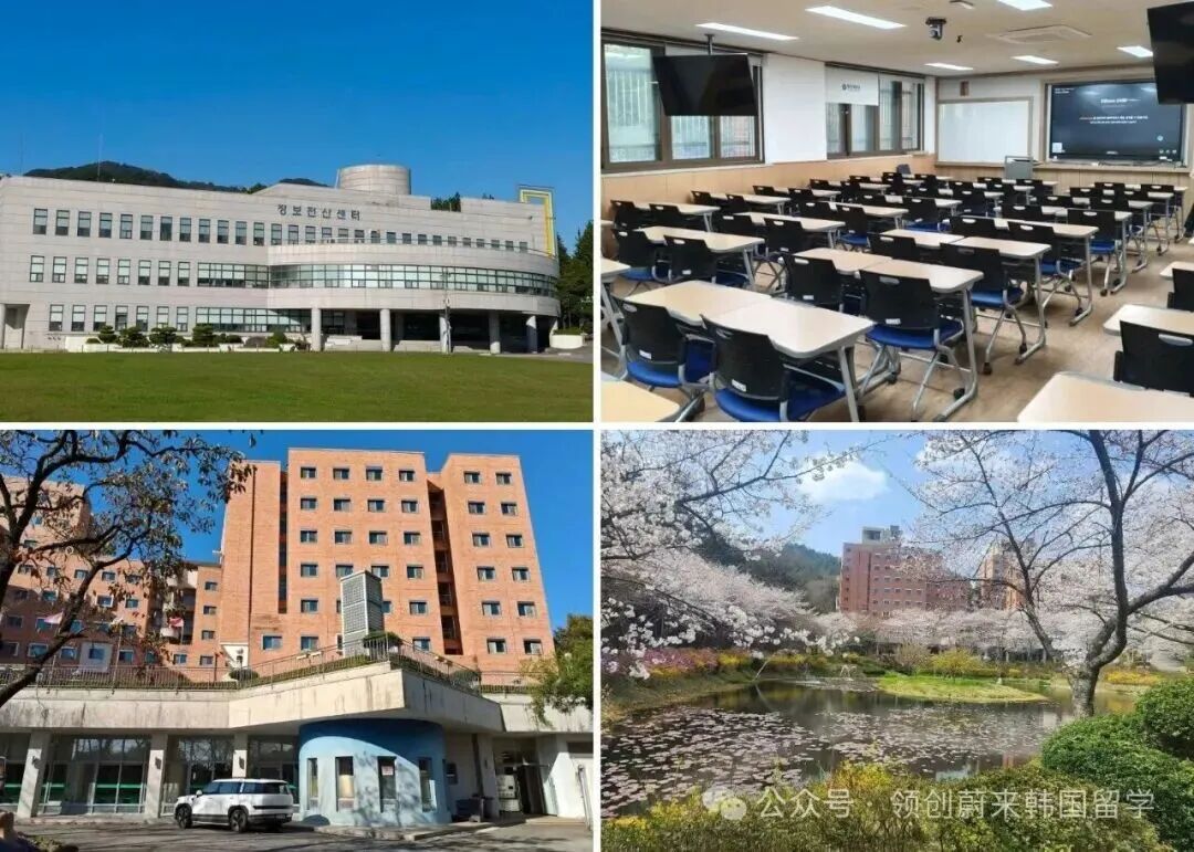 访校纪实丨领创蔚来国际教育韩国访校之旅(图91)